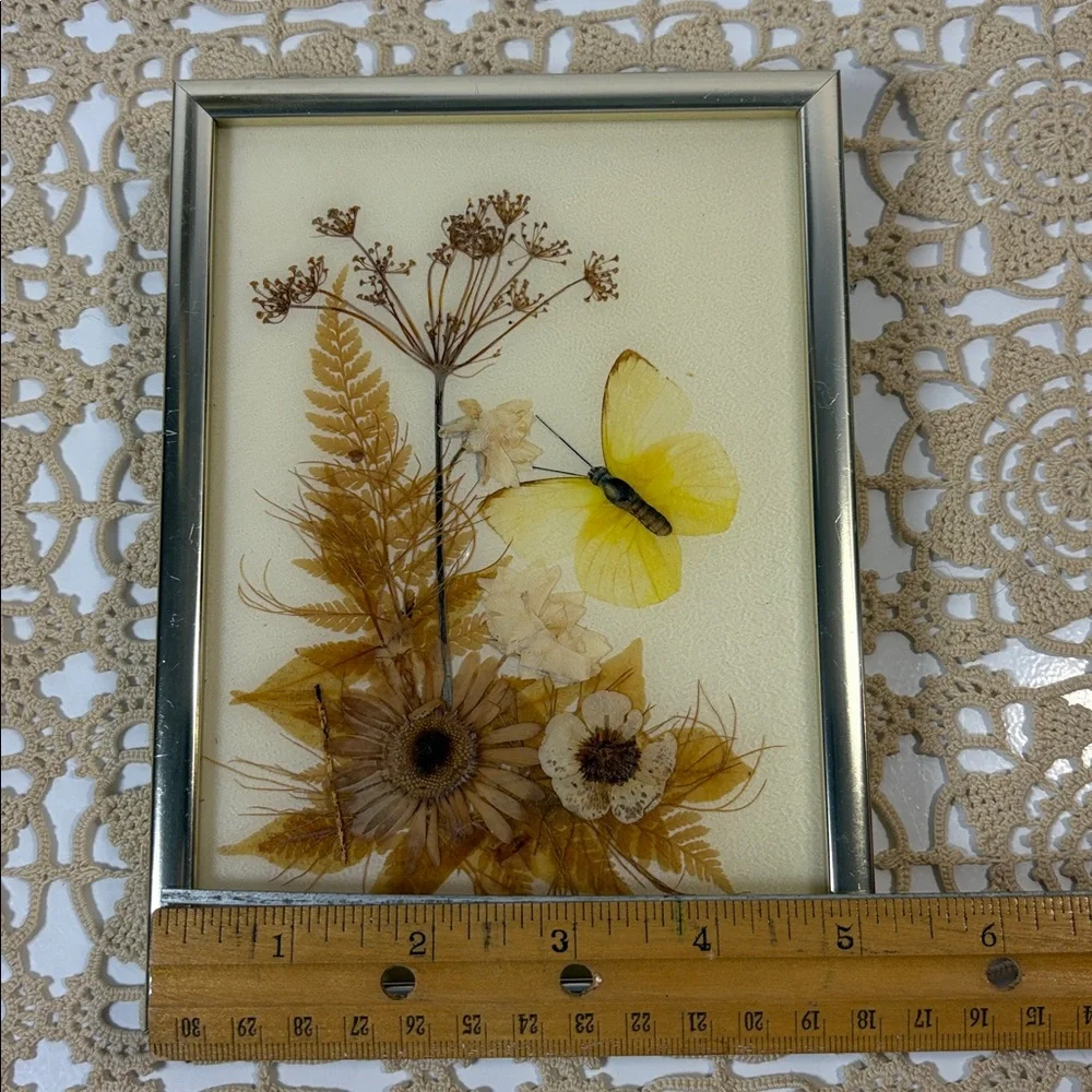 SOLD • Framed Dried Flower and Butterfly Collage Decoupage Small - Picture 8 of 12